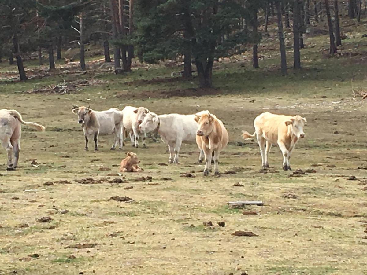 Casa Rural Senderismo Lumbreras ภายนอก รูปภาพ